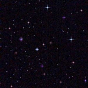 Meet your Posher, Jane